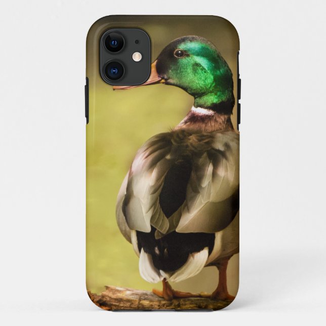Mallard Duck Case-Mate iPhone Case (Back)