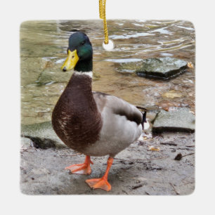 Mallard Duck Ceramic Ornament