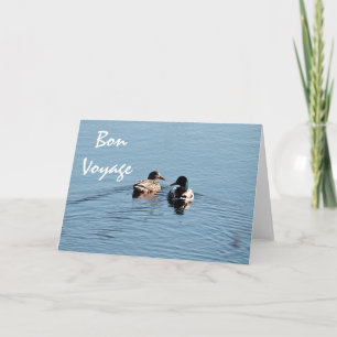 Mallard duck couple card