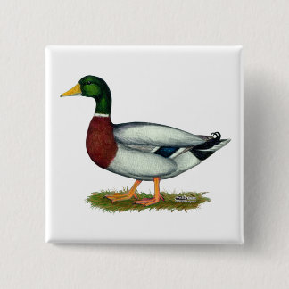 Mallard Duck Drake 15 Cm Square Badge