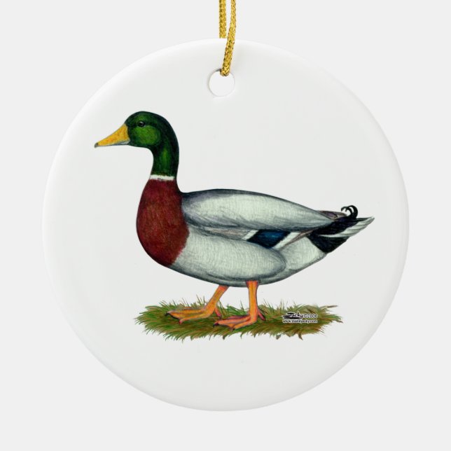Mallard Duck Drake Ceramic Tree Decoration (Front)