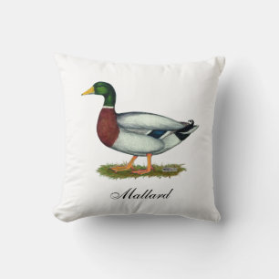 Mallard Duck Drake Cushion