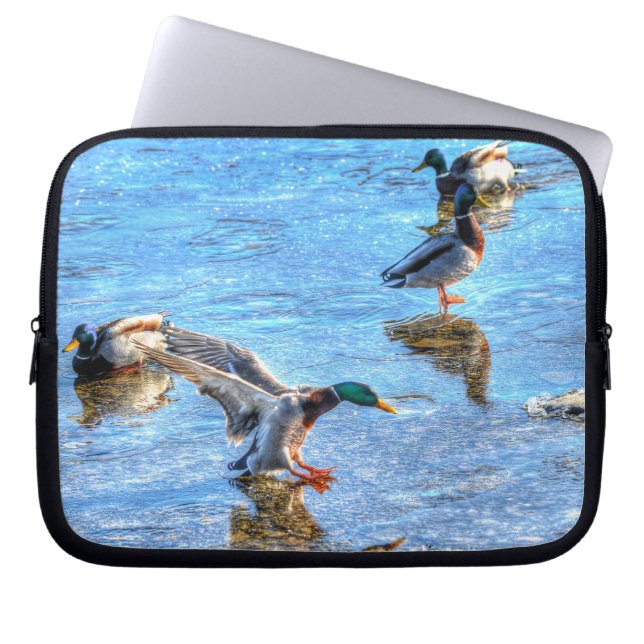 Mallard Duck Drake Landing on Ice Wildlife Photo Laptop Sleeve (Front)