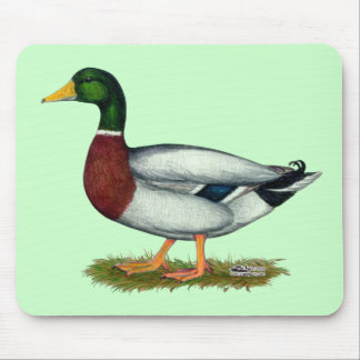 Mallard Duck Drake Mouse Pad