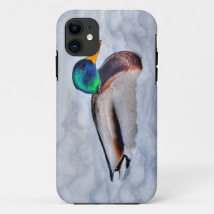 Mallard Duck Drake Wildlife Portrait Case-Mate iPhone Case