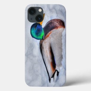 Mallard Duck Drake Wildlife Portrait iPhone 13 Case