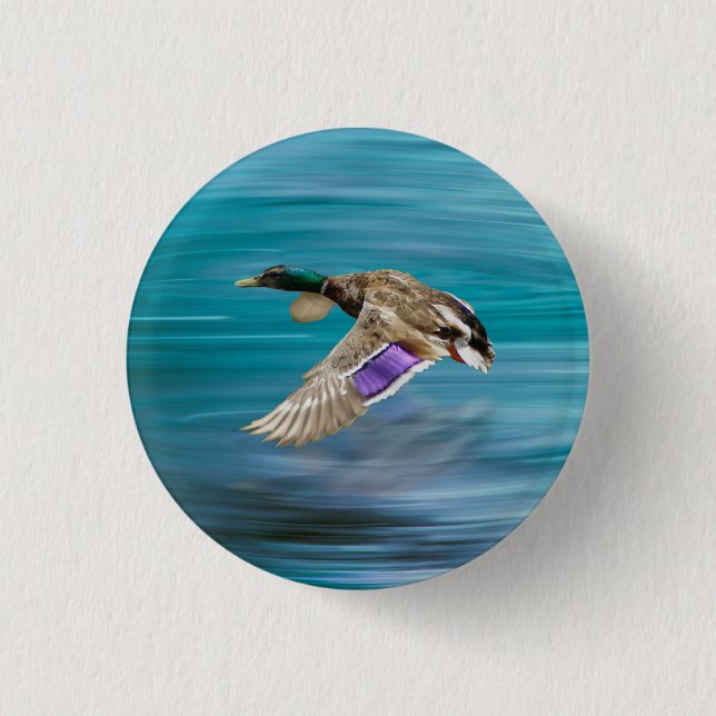 Mallard duck flying 3 cm round badge (Front)
