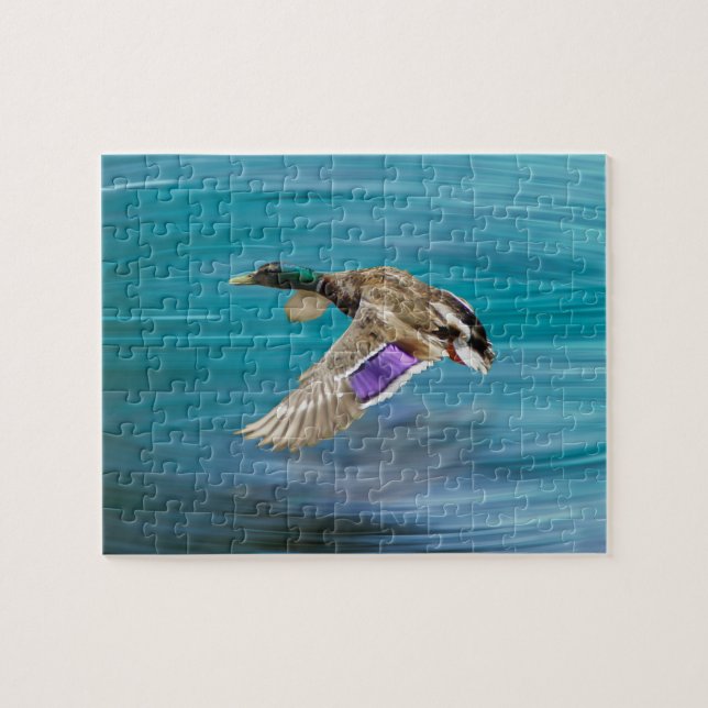 Mallard duck flying jigsaw puzzle (Horizontal)