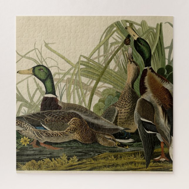 Mallard Duck from Audubon's Birds of America Jigsaw Puzzle (Vertical)