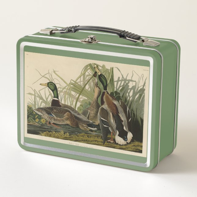 Mallard Duck from Audubon's Birds of America Metal Lunch Box (Front)