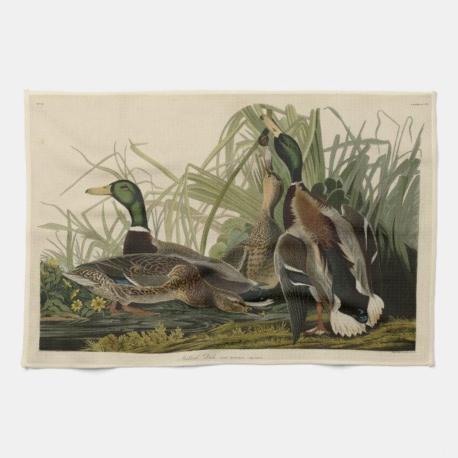 Mallard Duck from Audubon's Birds of America Tea Towel (Horizontal)