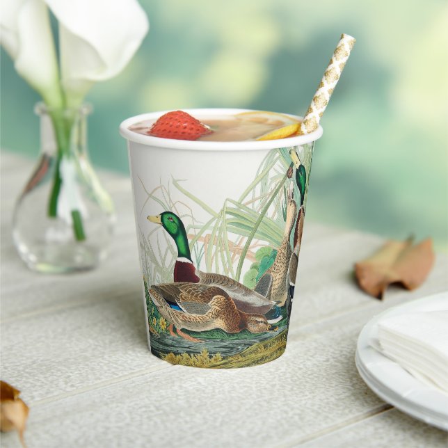 Mallard Duck from Birds of America (Audubon)  Paper Cups (Insitu)