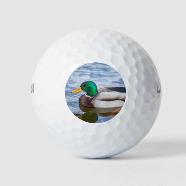 Mallard Duck Golf Balls (Front)
