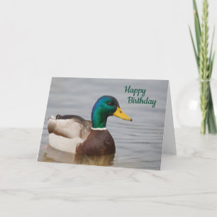 Mallard Duck Happy Birthday Card