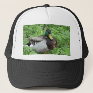Mallard Duck Hat