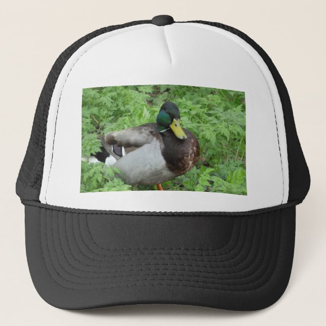 Mallard Duck Hat (Front)