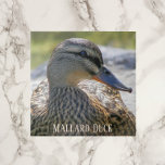 Mallard Duck Hen Photo Ceramic Tile<br><div class="desc">Nature themed ceramic tile featuring the wildlife photo image of a Mallard duck hen. Select your tile size. Makes a great kitchen trivet!</div>