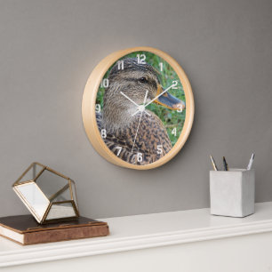 Mallard Duck Hen Photo Clock