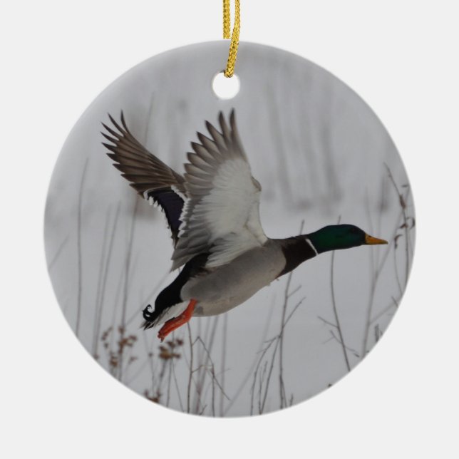 Mallard Duck Home Decor Designs by Janz Ceramic Tree Decoration (Front)