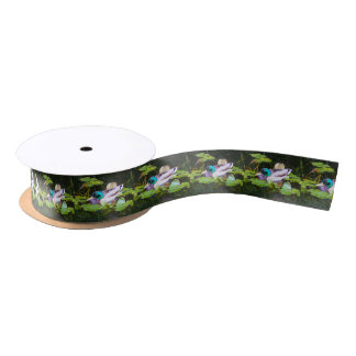 Mallard duck in a pond satin ribbon