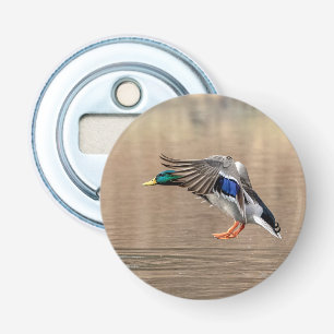 Mallard Duck in flight Bottle Opener