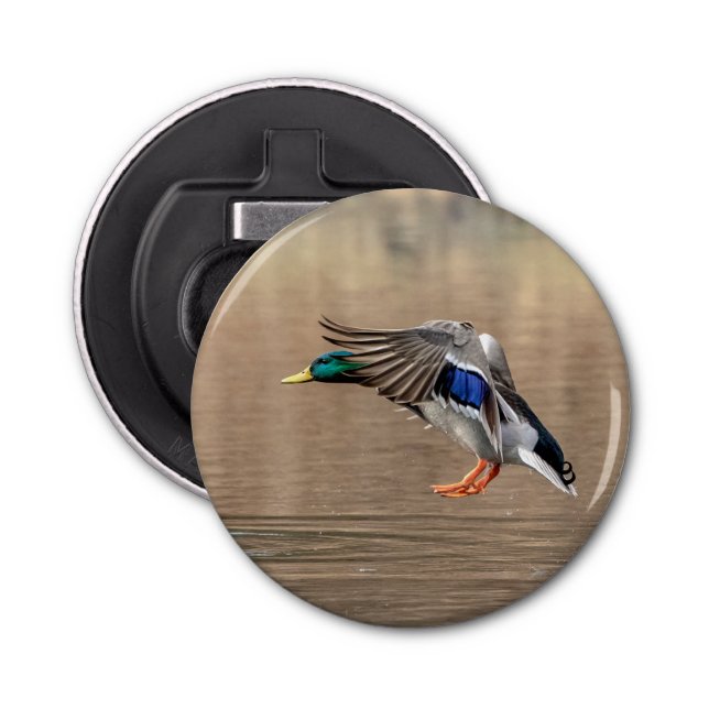 Mallard Duck in flight Bottle Opener (Front)