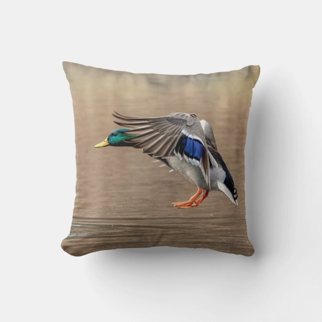 Mallard Duck in flight Cushion (Front)