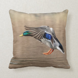 Mallard Duck in flight Cushion