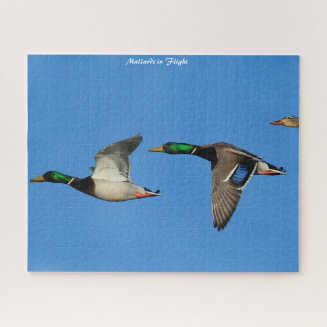 Mallard Duck in Flight Jigsaw Puzzle (Horizontal)