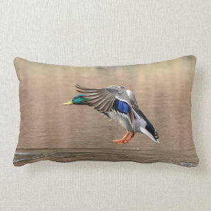 Mallard Duck in flight Lumbar Cushion