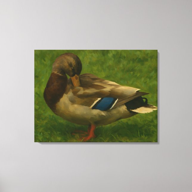 Mallard Duck in Meadow Light Canvas Print (Front)