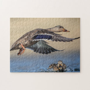 Mallard Duck in the Hudson Valle Jigsaw Puzzle