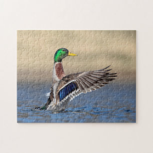 Mallard Duck in the Hudson Valley Jigsaw Puzzle