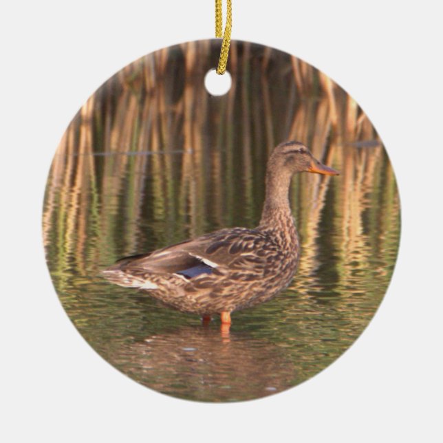 Mallard Duck in Water Ornament  (Front)