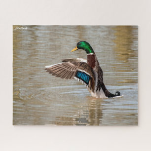 Mallard Duck Jigsaw Puzzle