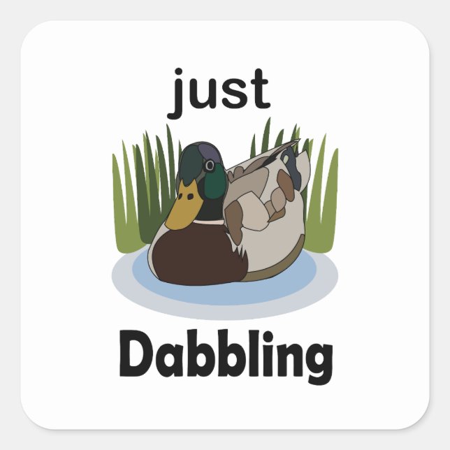 Mallard Duck Just Dabbling Pool Party Square Sticker (Front)