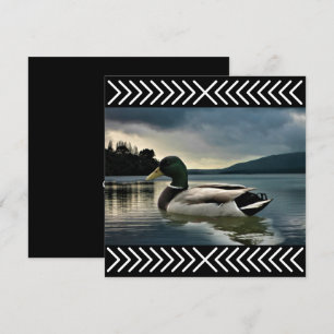 Mallard Duck Lake