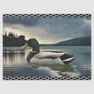 Mallard Duck Lake Tissue Paper