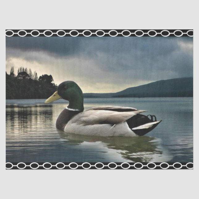 Mallard Duck Lake Tissue Paper (Front)