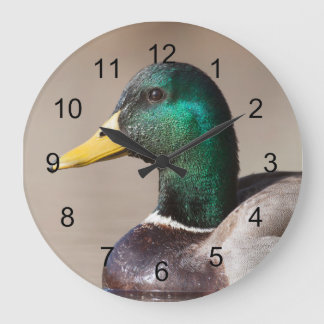 Mallard duck large clock