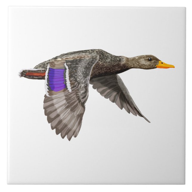 Mallard Duck Lovers Tile (Front)