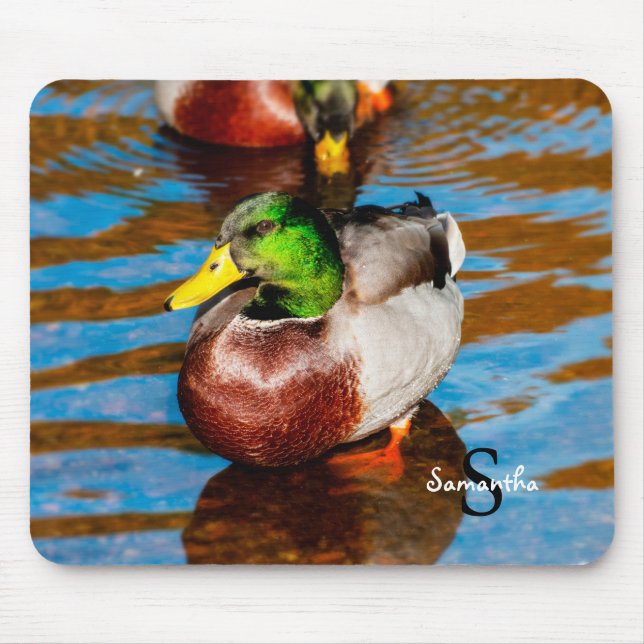 Mallard Duck Mouse Pad (Front)