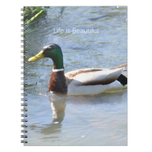 Mallard Duck (my photography) Notebook