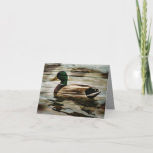 Mallard Duck Note Card