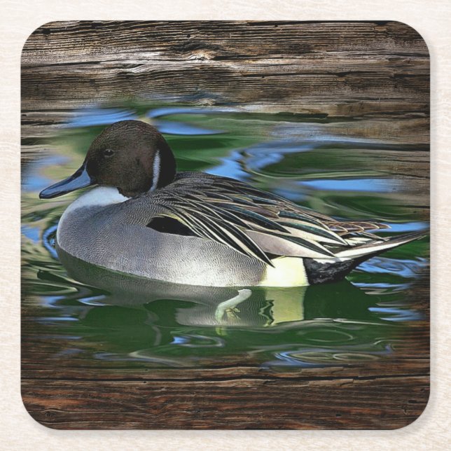 Mallard Duck On Lake Square Paper Coaster (Front)
