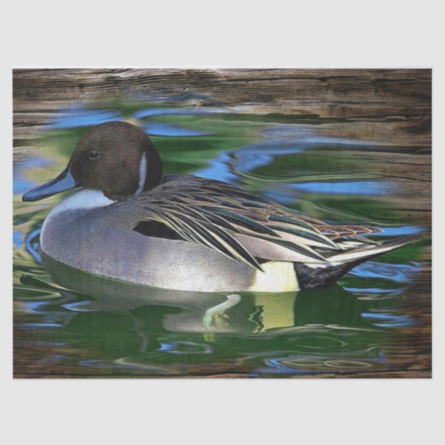 Mallard Duck On Lake Tissue Paper (Front)