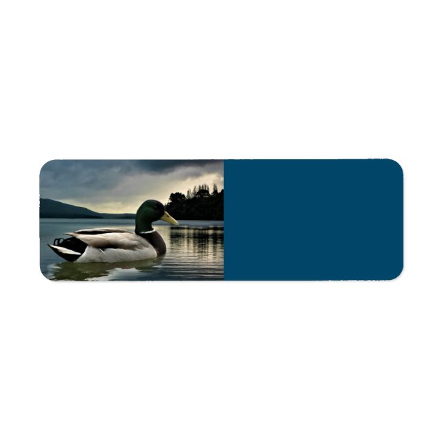 Mallard Duck On The Lake (Front)