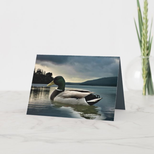 Mallard Duck On The Lake Card (Front)