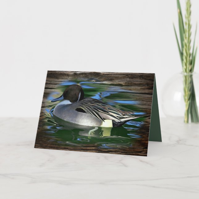Mallard Duck On The Lake Card (Front)