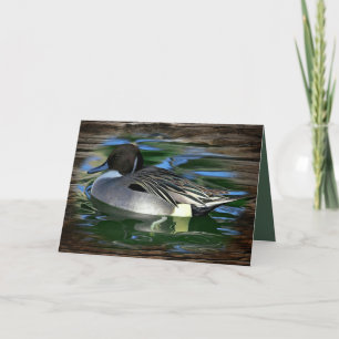 Mallard Duck On The Lake Holiday Card